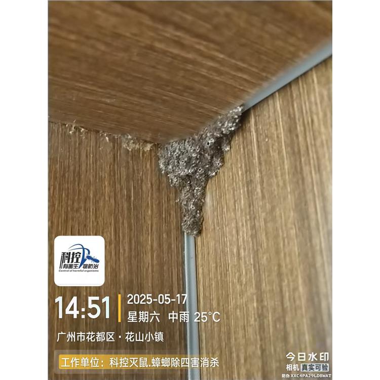 美林湖消殺消殺企業(yè) 經(jīng)驗(yàn)豐富