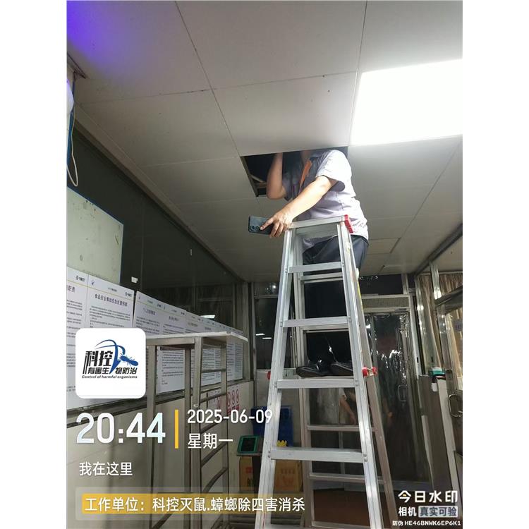 佛山三水酒店滅蒼蠅 服務熱情