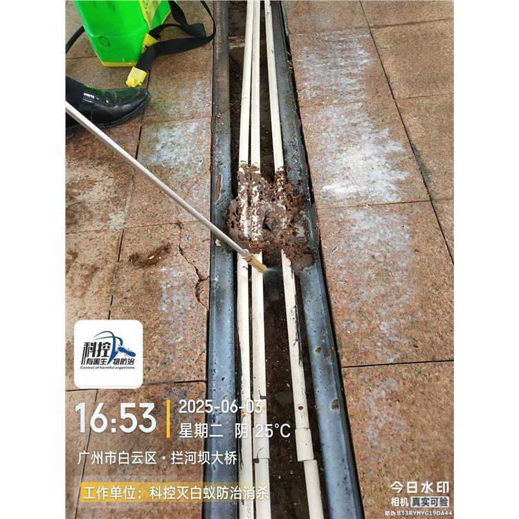 廣州花都區(qū)食堂滅螞蟻