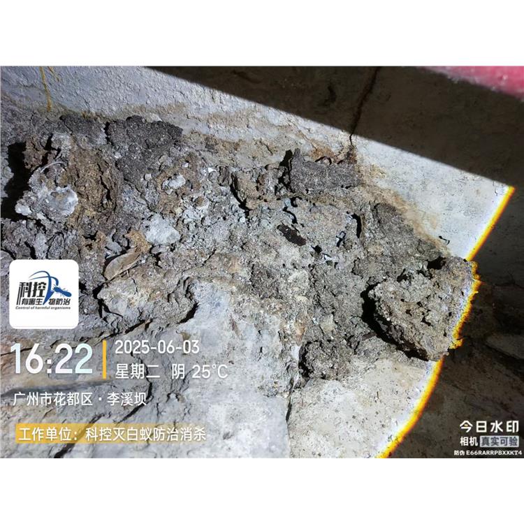 從化區(qū)GMPC蟲害消殺 團隊服務(wù) 科控防蟲