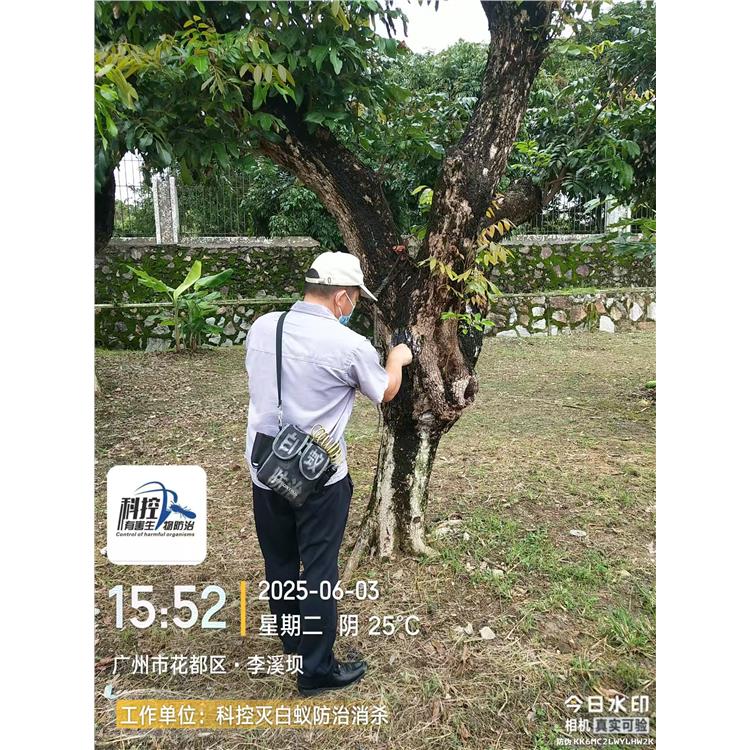 廣州花都區(qū)GMPC白蟻防治