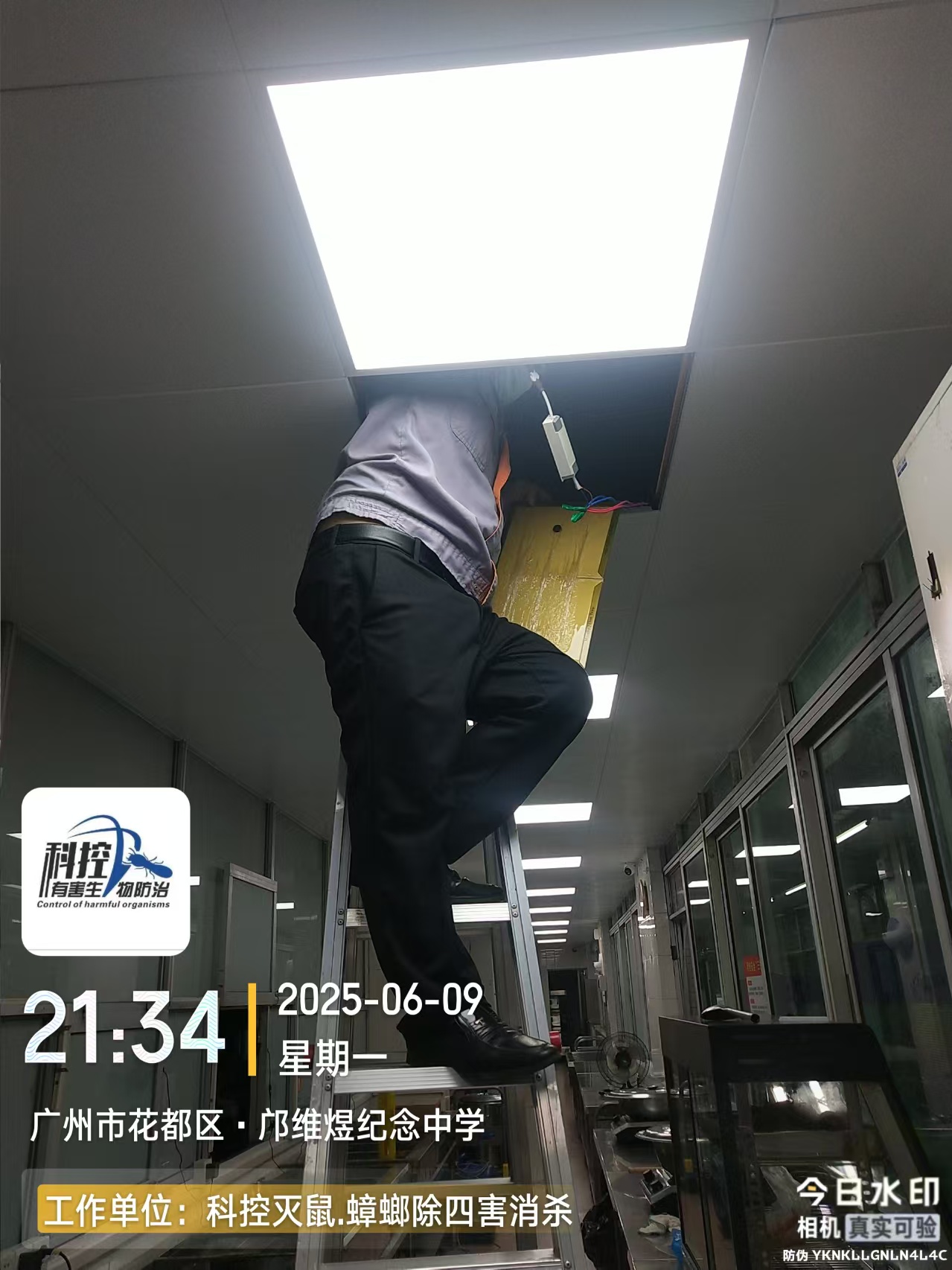廣州花都區(qū)食堂滅螞蟻