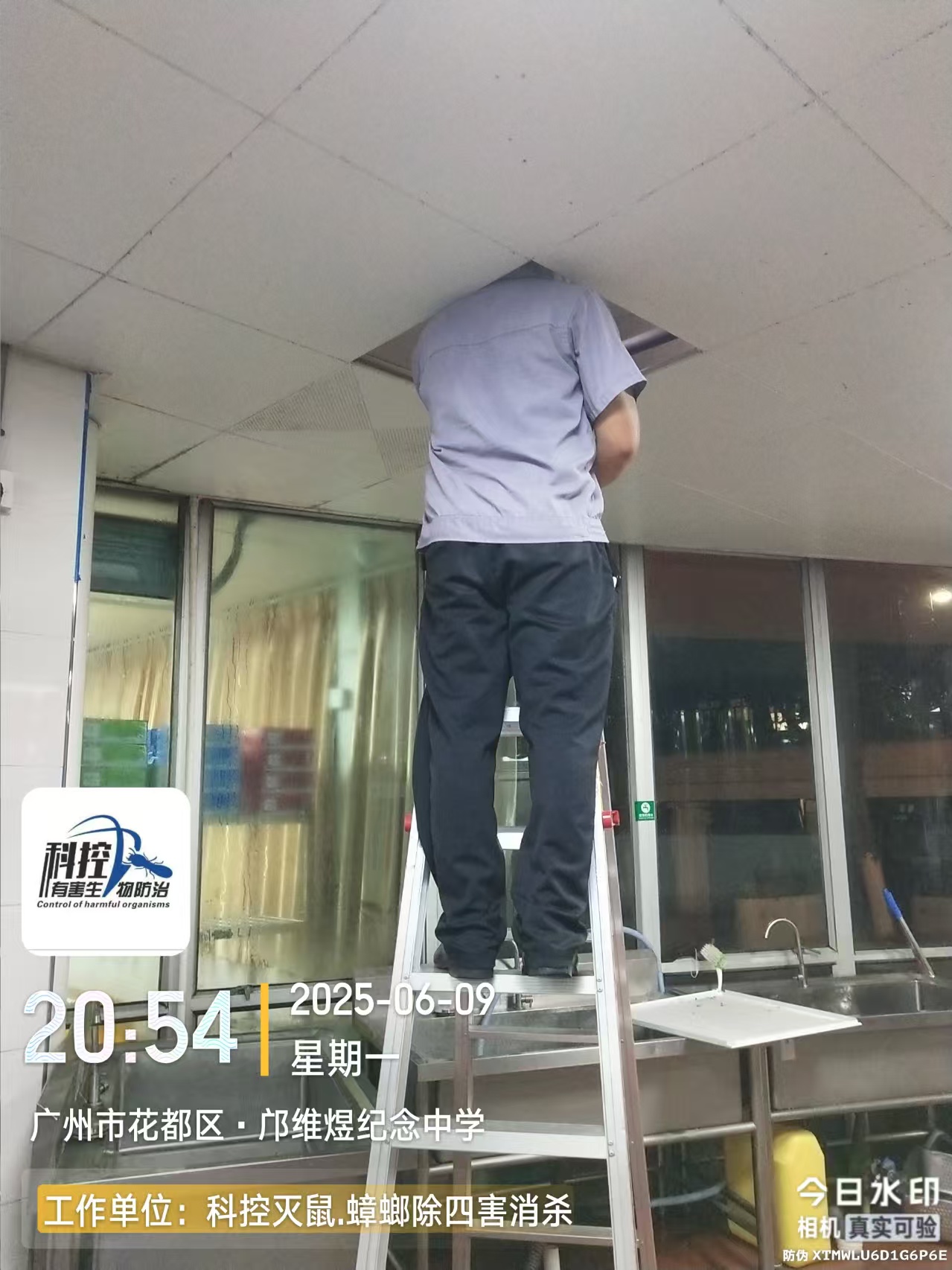 花都GMPC白蟻防治