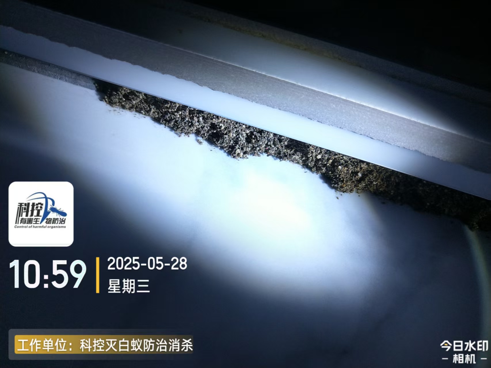 白坭镇酒店灭杀害虫