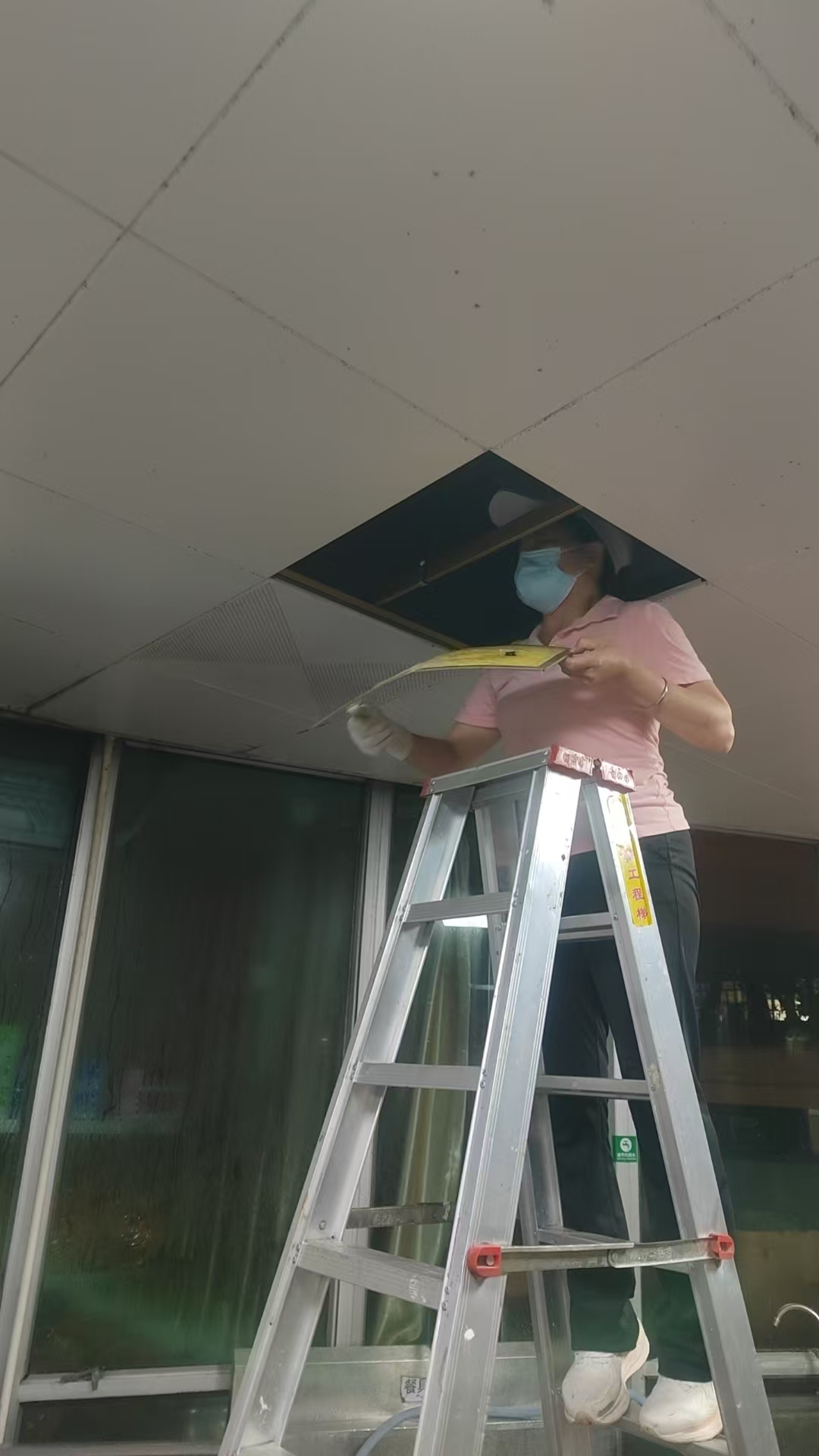 大塘鎮(zhèn)工廠消殺老鼠