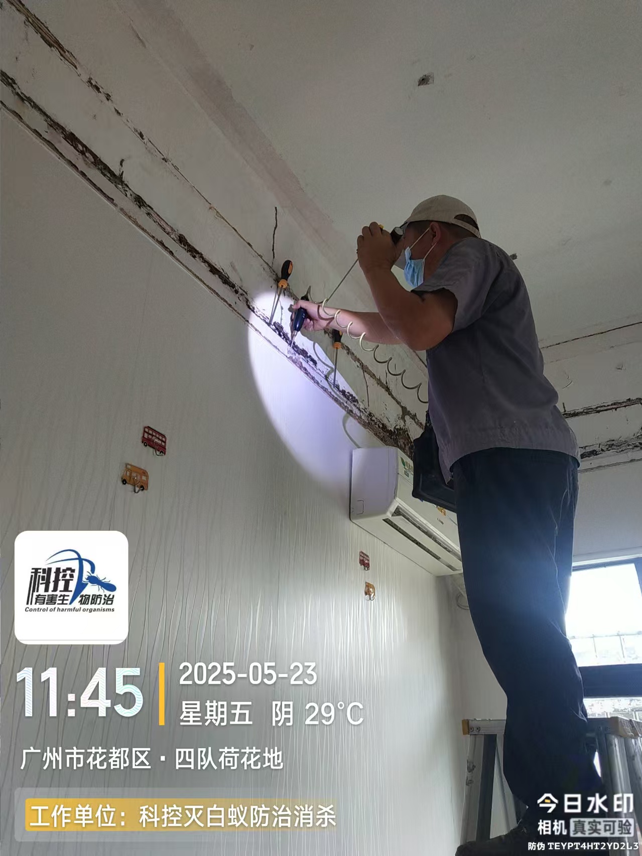佛山三水酒店滅蒼蠅