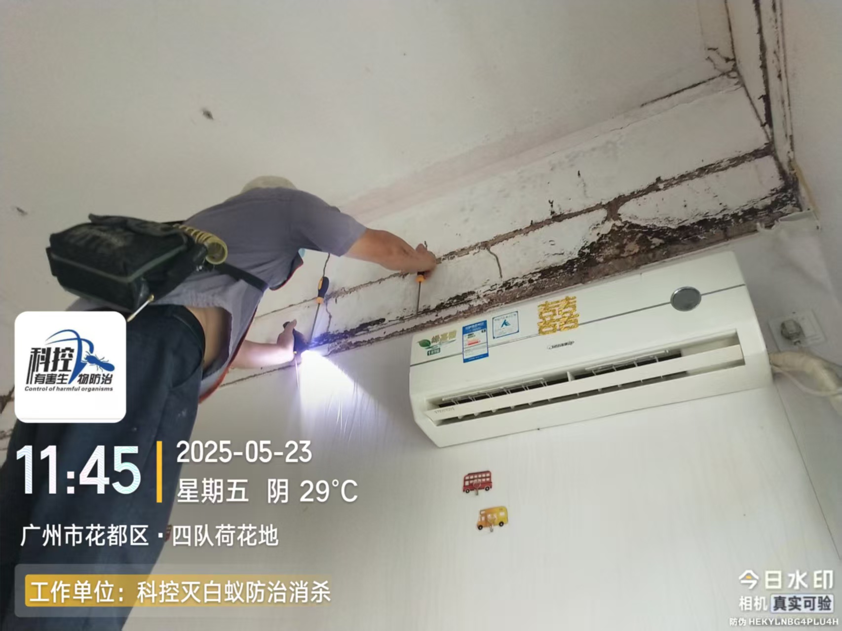 美林湖消殺消殺企業(yè)