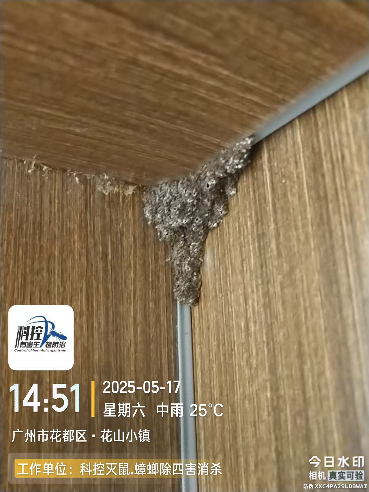 廣州花都區(qū)工廠滅鼠