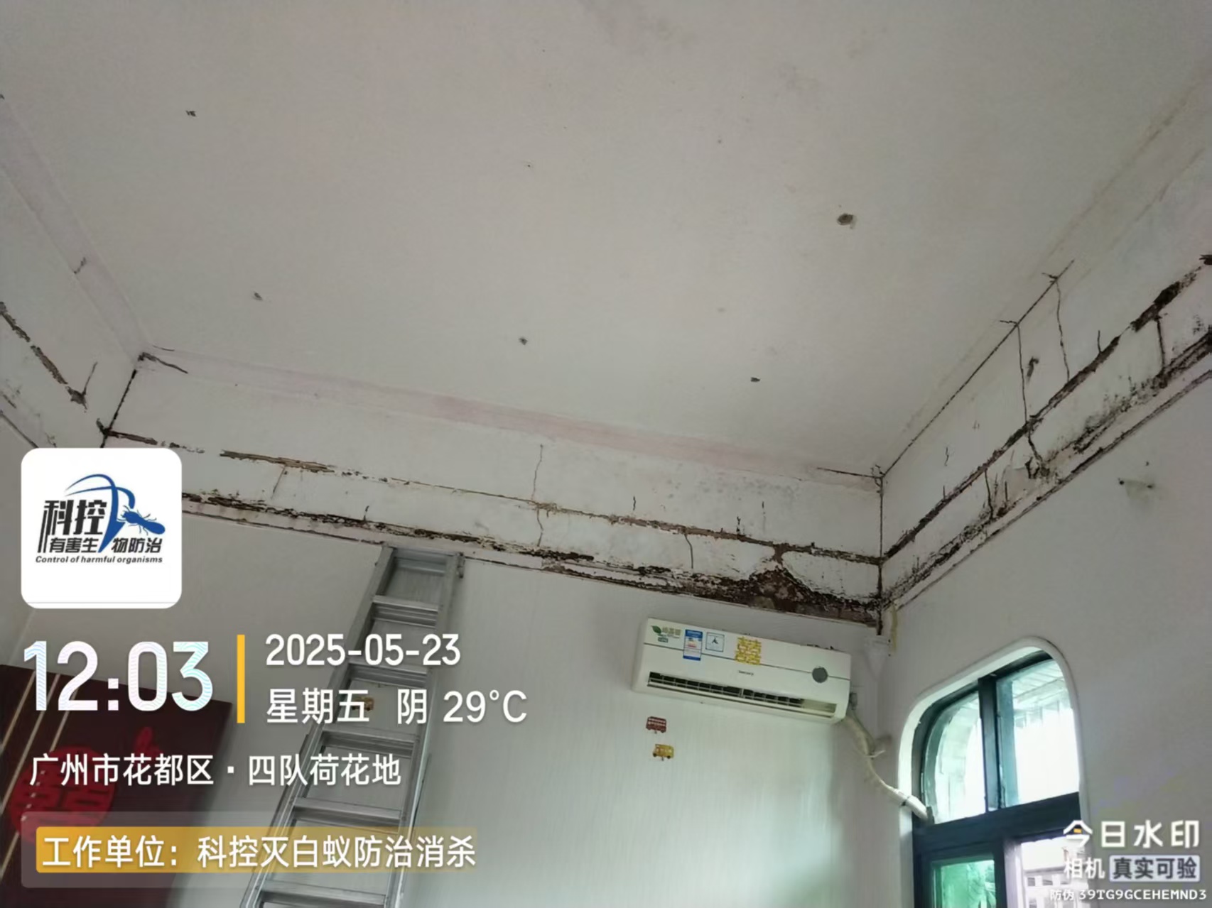 從化區(qū)GMPC蟲害消殺