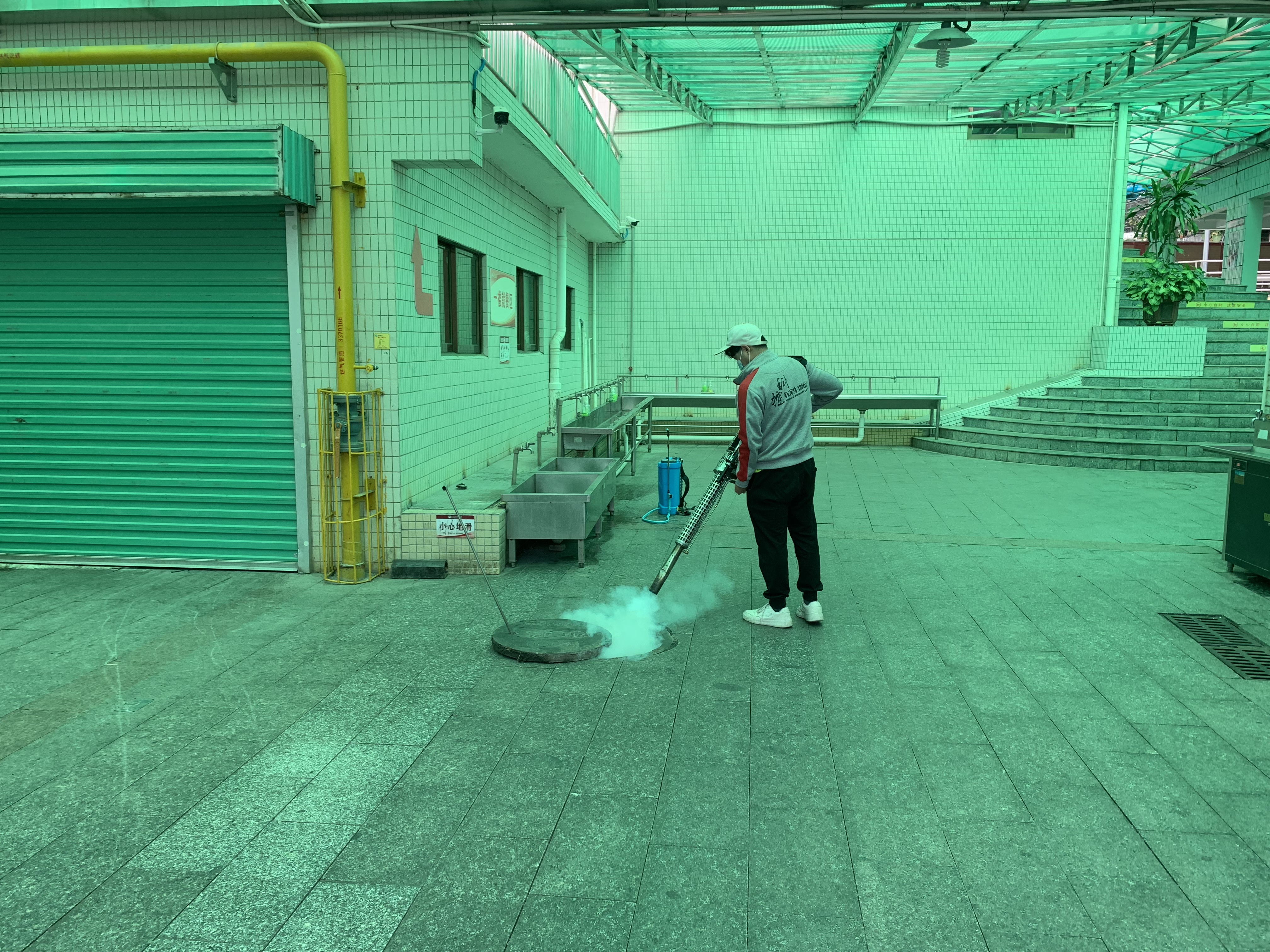 佛山三水白蚁防治消杀