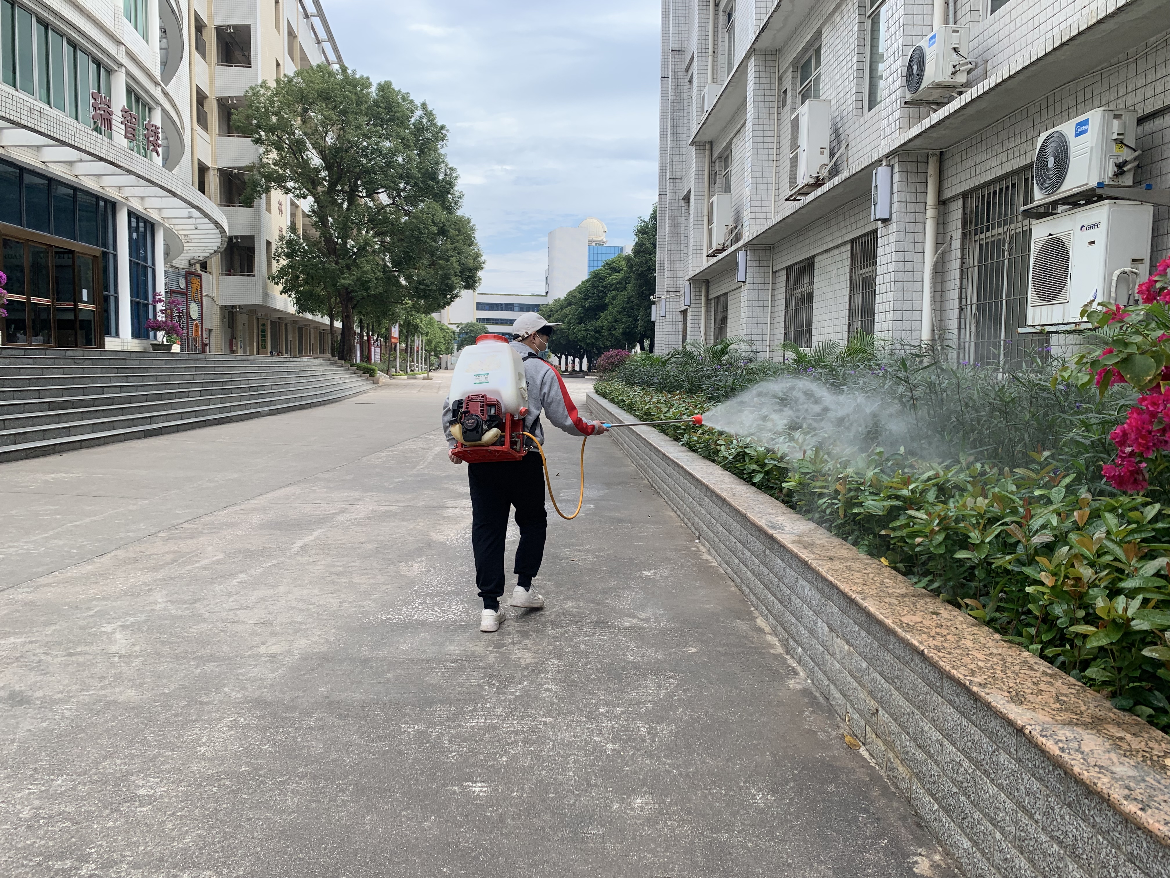 良口镇别墅灭鼠