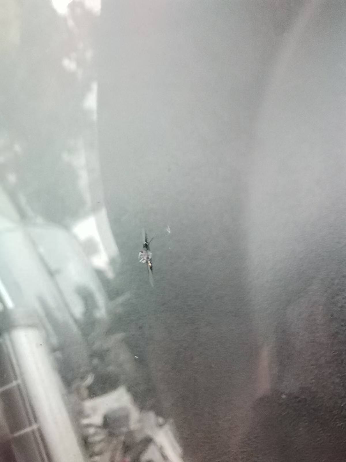 青白江区汽车挡风玻璃修补