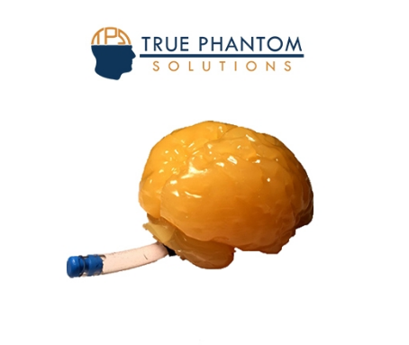 Truephantom BN-A01标准成人脑模体，适用于CT、MRI、超声