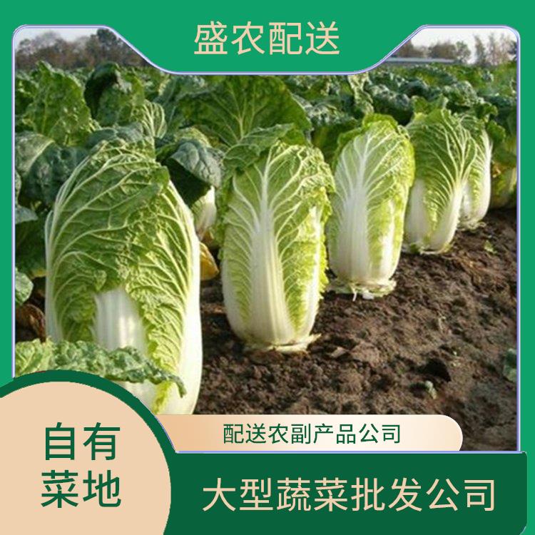 金湾饭堂食材配送服务公司 配送蔬菜服务公司 大型批发市场提供平价送菜服务