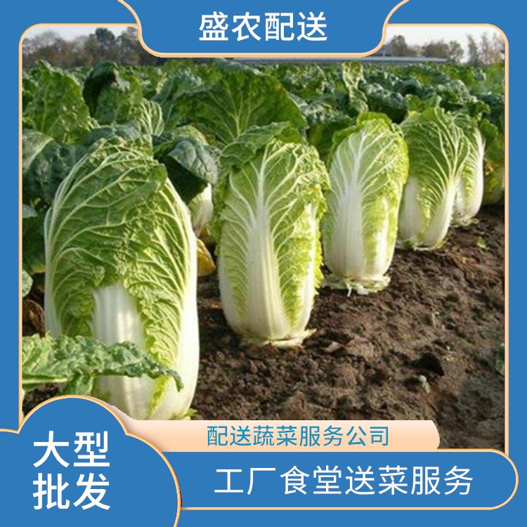 江海区饭堂食材配送服务公司 工厂食堂送菜服务 大型批发市场提供平价送菜服务