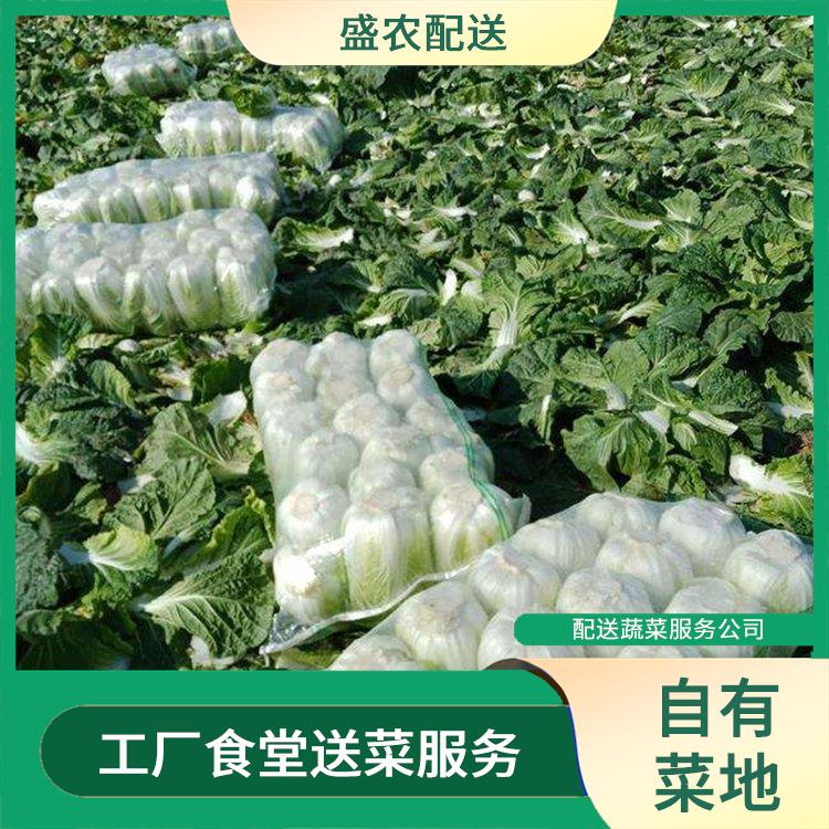 沙溪饭堂食材配送服务公司 配送农副产品公司 提供一站式平价蔬菜配送服务