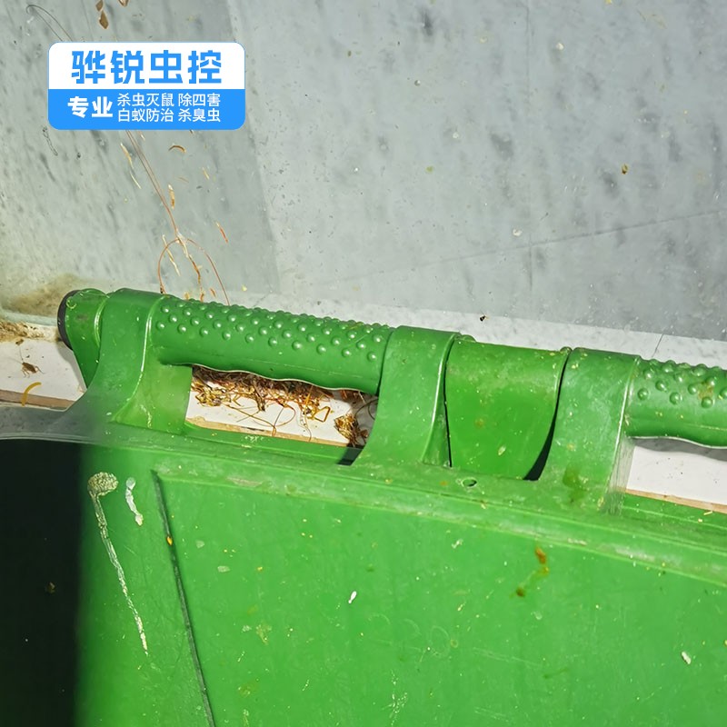 广州除四害 除老鼠 灭虫服务公司