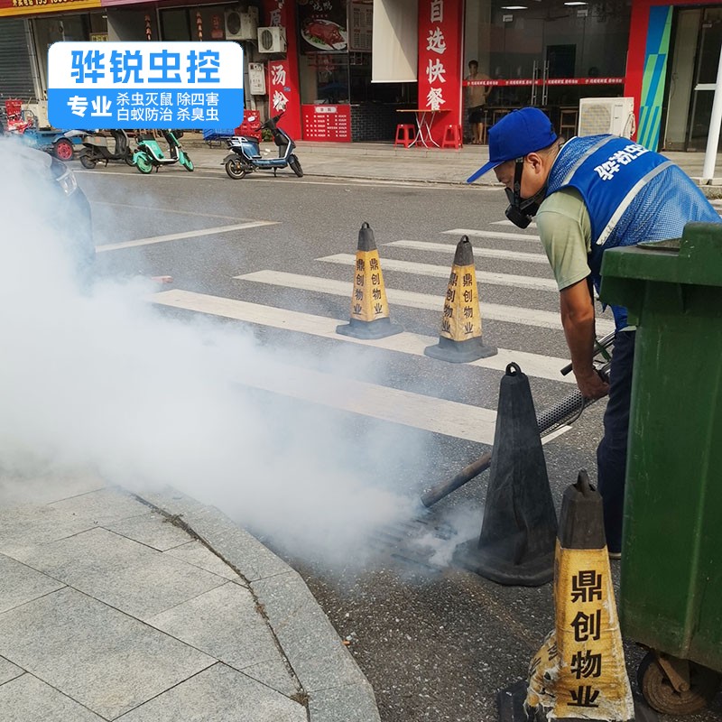 东莞除四害 家庭酒店杀臭虫 有害生物