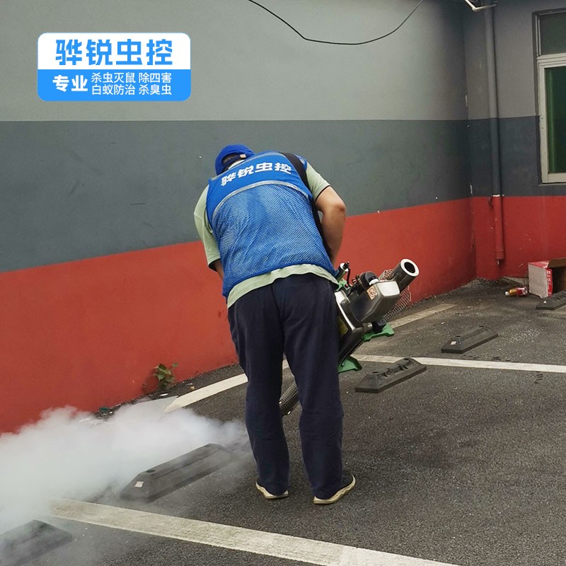 广州除四害 四害消杀 持证上岗