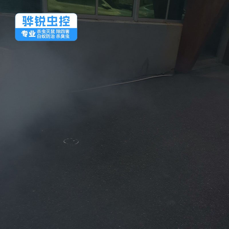 东莞白蚁 杀臭虫 效果好