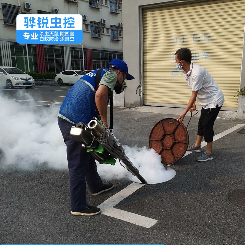 深圳除四害 灭蟑螂 上门消杀