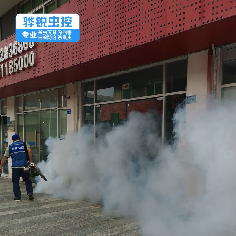 广州白蚁 灭老鼠 一次性根除