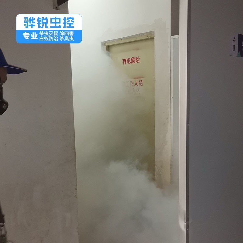 广州白蚁 除蟑螂 灭虫服务公司