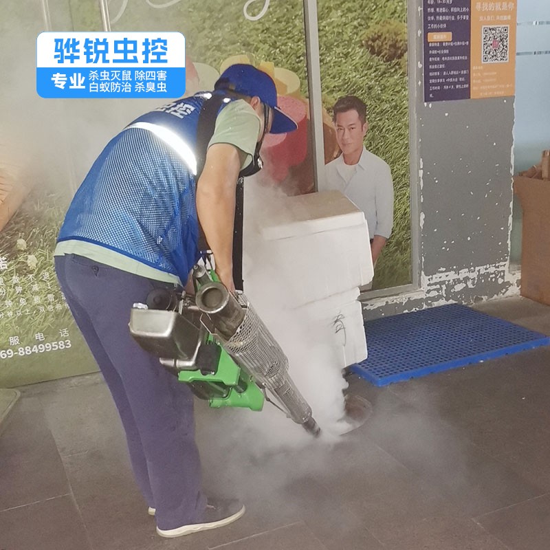 深圳工厂消杀 消杀害虫 多年经验