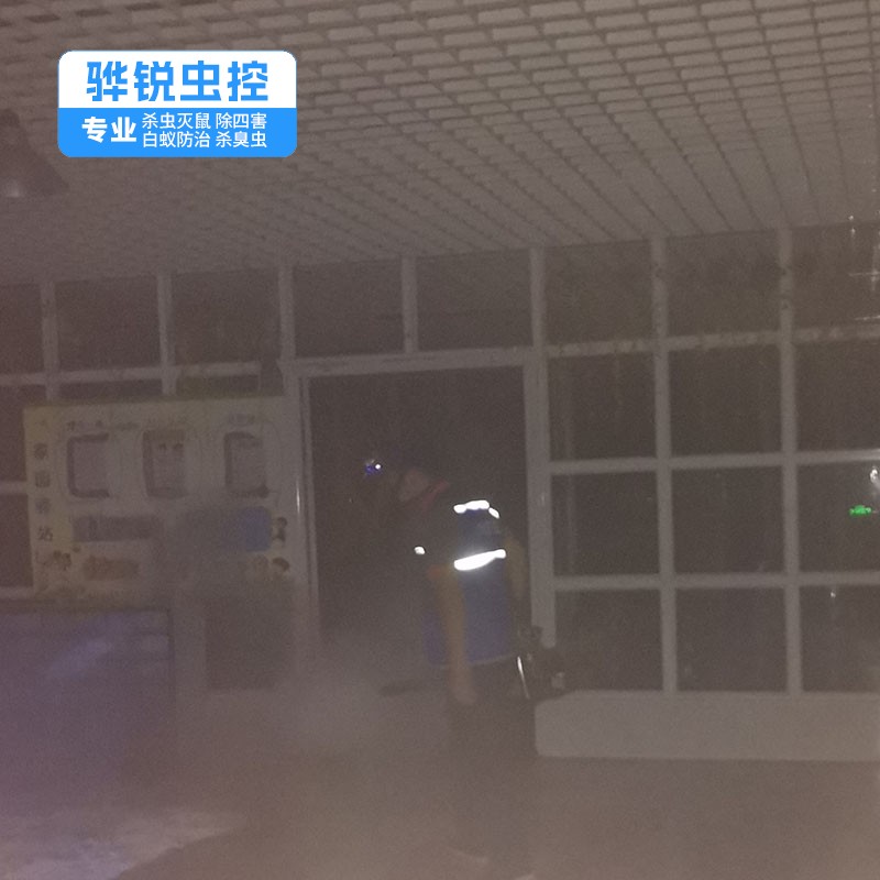 东莞白蚁 消灭小飞虫 上门除四害