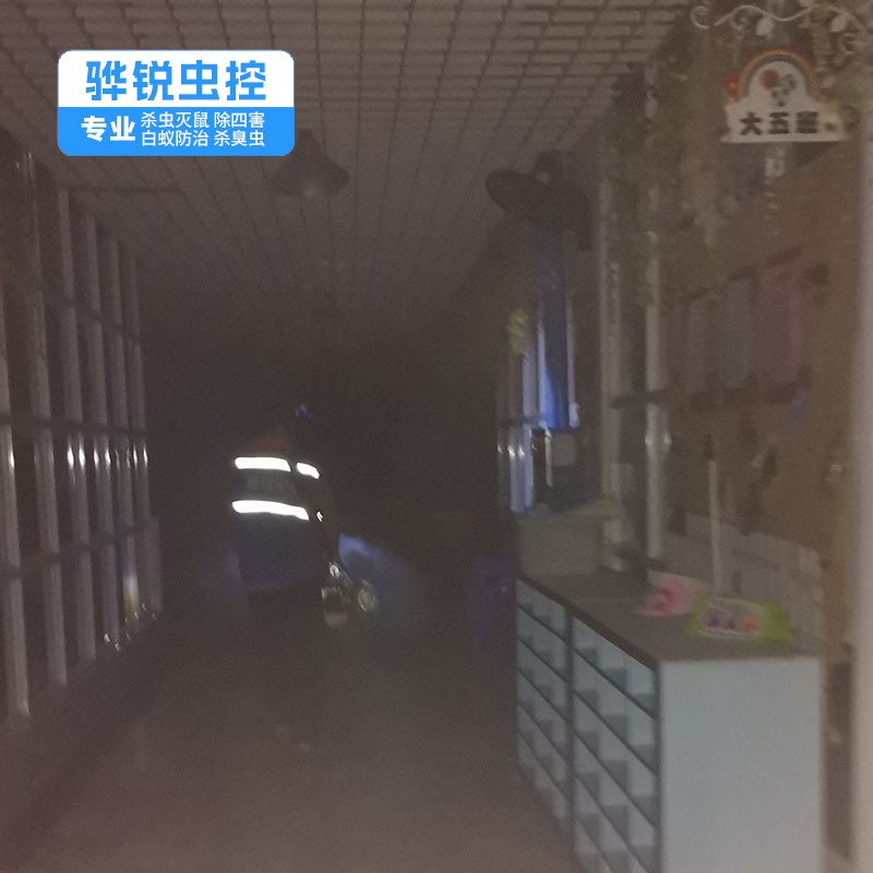 东莞除虫灭鼠 灭老鼠 上门除四害