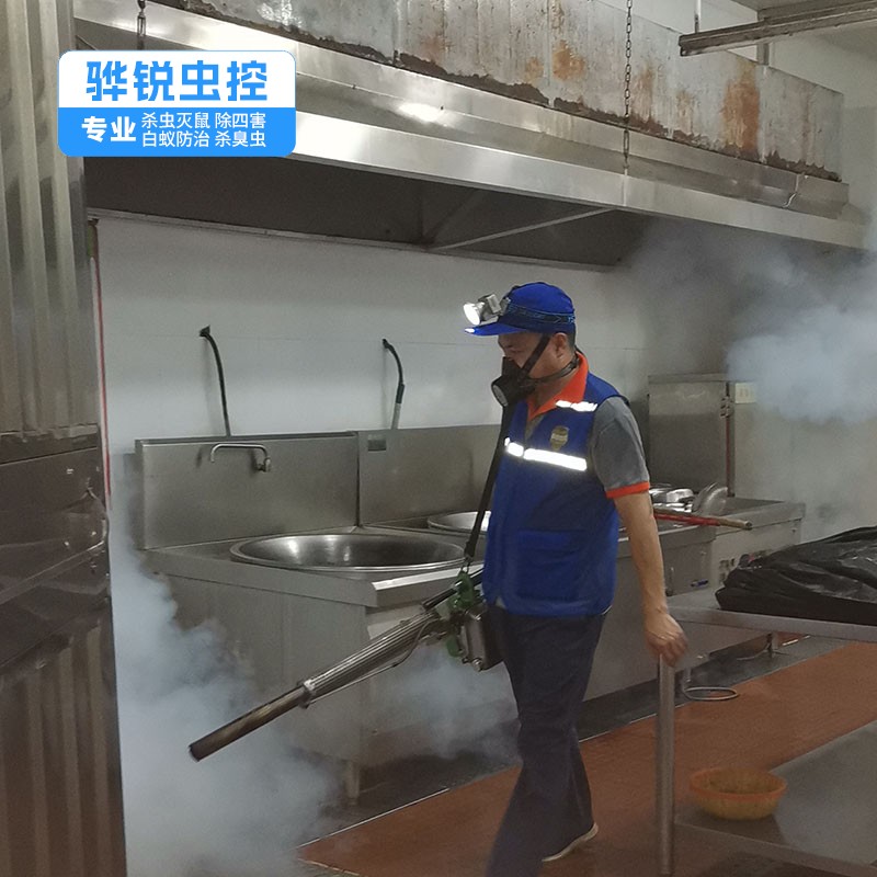 东莞工厂消杀 蚊蝇消杀 多年经验