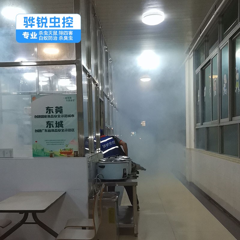 深圳除四害 除老鼠 有害生物