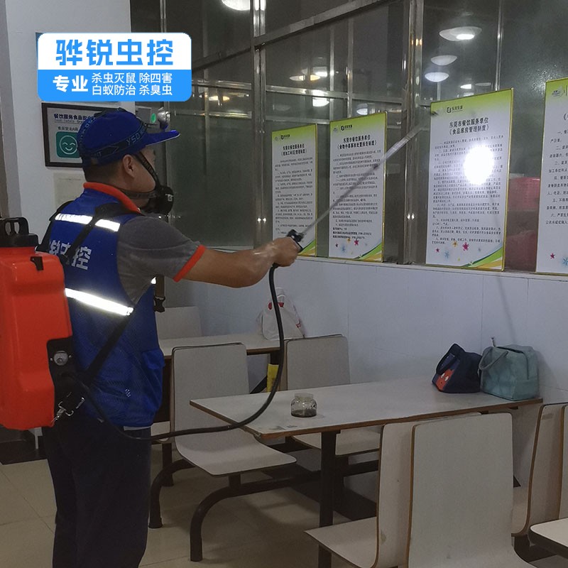 东莞工厂消杀 四害消杀 快速有效