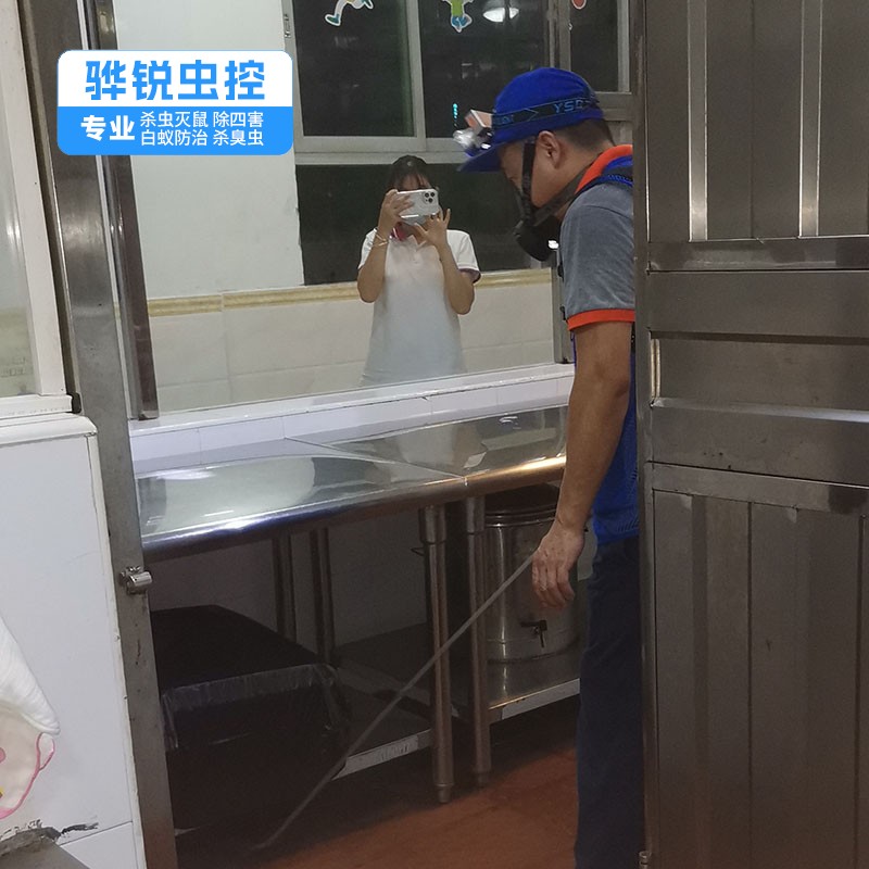 深圳白蚁 杀臭虫 灭虫服务公司
