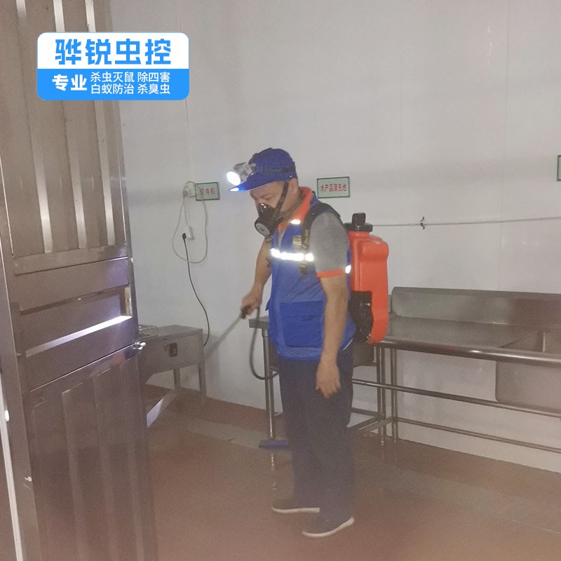 东莞除四害 蚊蝇消杀 效果好