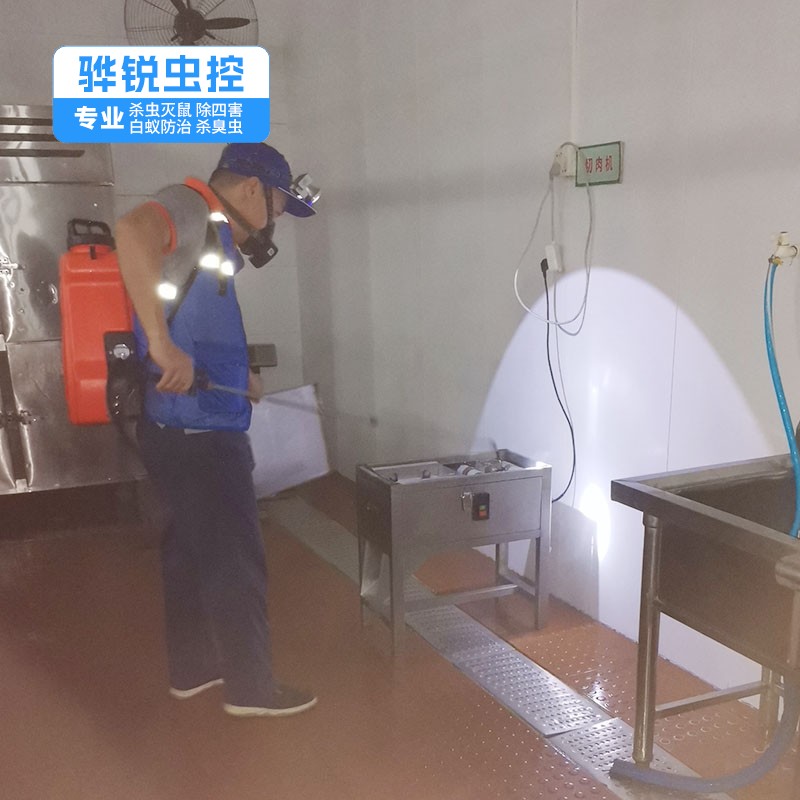 东莞除四害 厨房卫生间灭蟑螂 有害生物