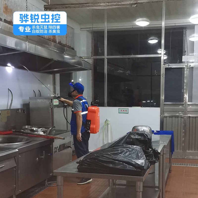 东莞工厂消杀 杀臭虫 灭虫服务公司