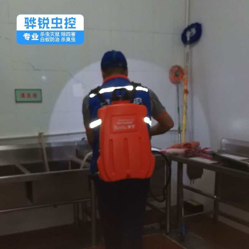 深圳白蚁 蚊蝇消杀 有害生物