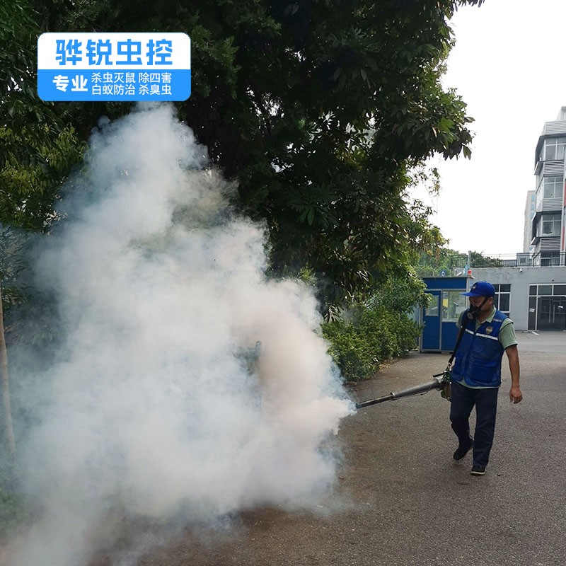 东莞除虫灭鼠 厨房卫生间消杀害虫 上门快速