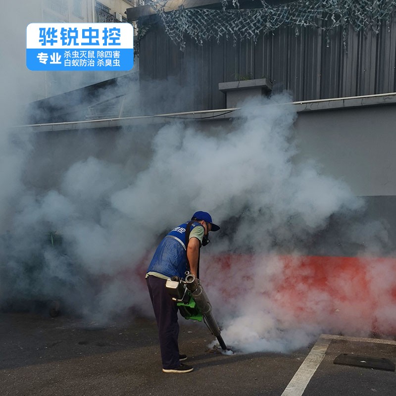 广州工厂消杀 灭蟑螂 上门消杀