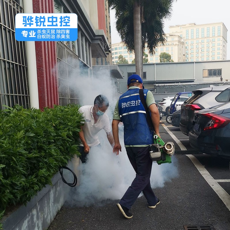 东莞除四害 仓库车间消灭小飞虫 上门快速