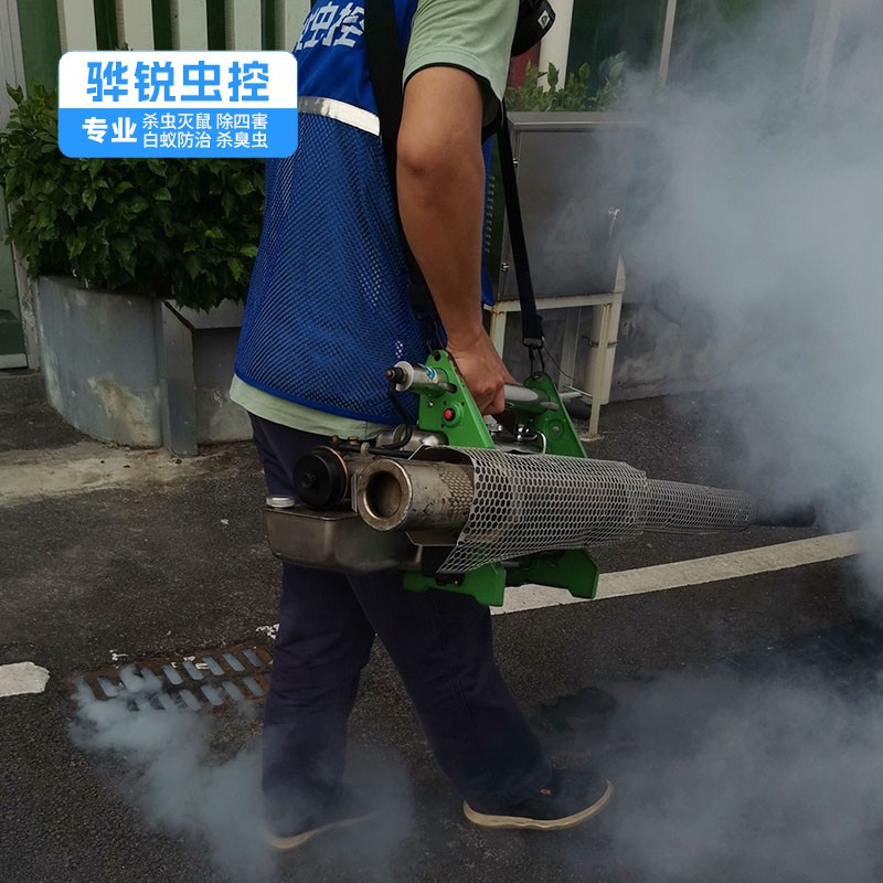 广州除四害 仓库车间灭老鼠 全城上门消杀