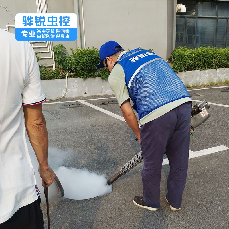东莞杀虫灭鼠 学校单位消杀害虫 快速有效