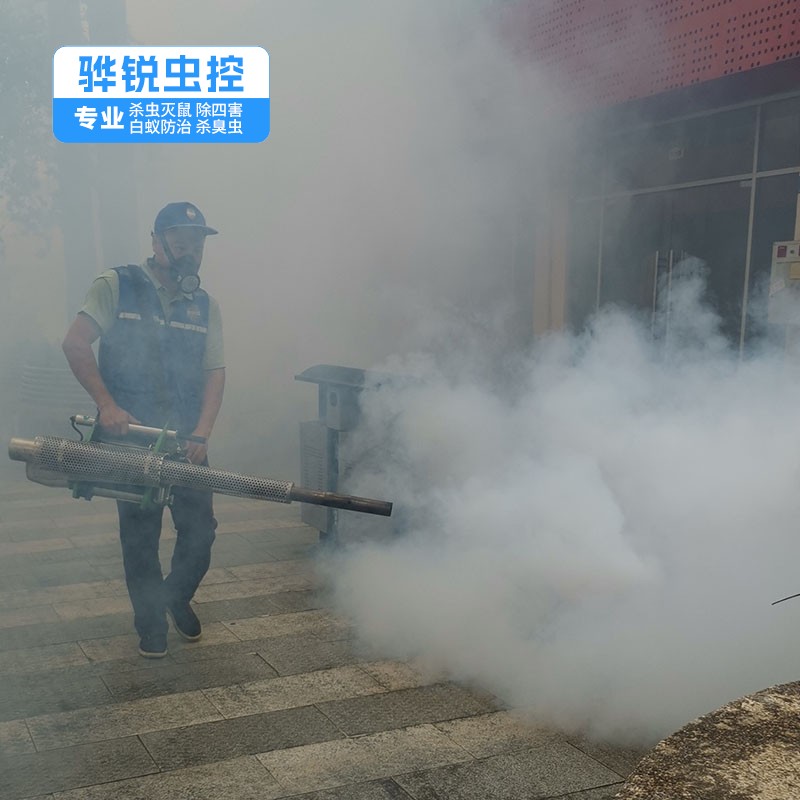 东莞杀虫灭鼠 蚊蝇消杀 效果好