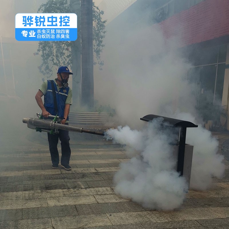 深圳除四害 工厂宿舍灭老鼠 本地服务公司