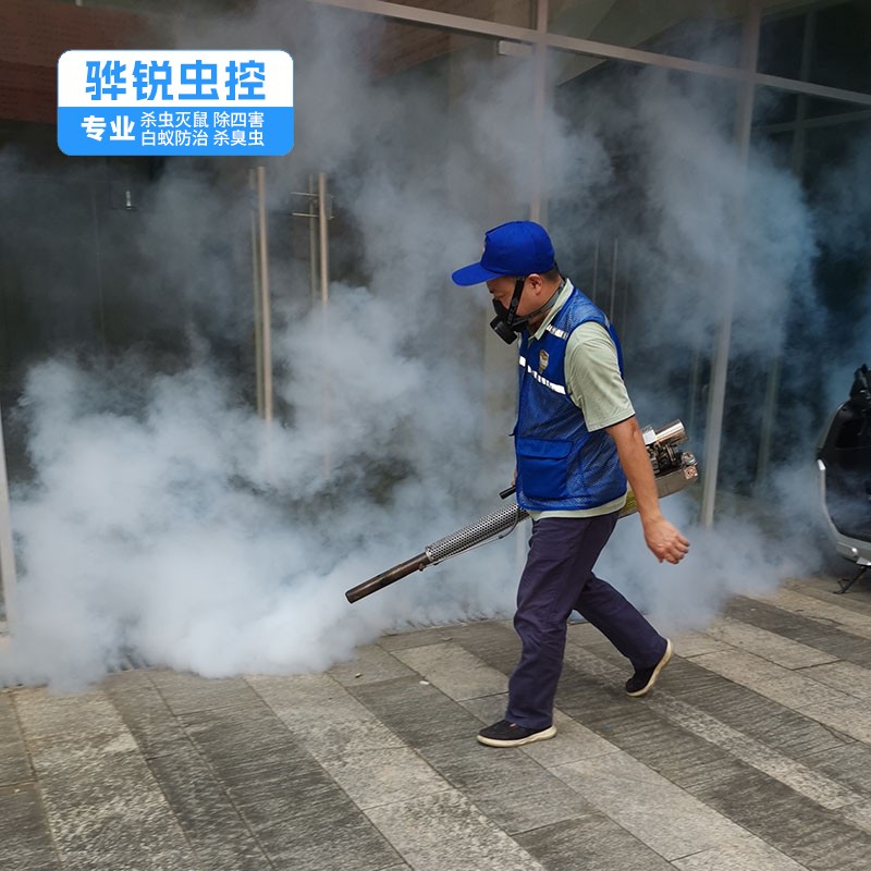 深圳杀虫灭鼠 四害消杀 上门消杀
