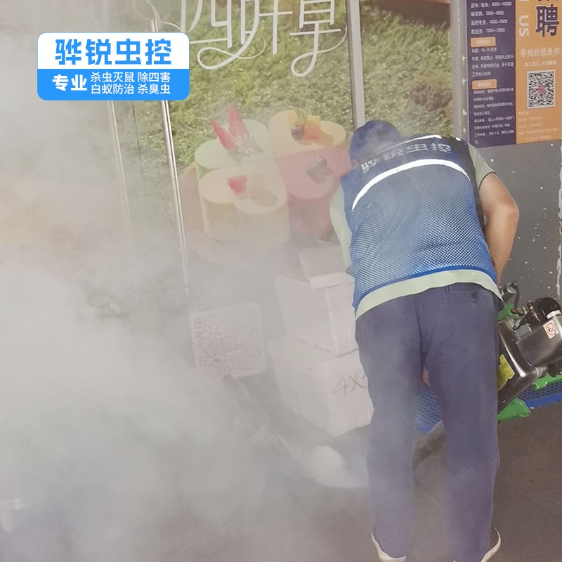 深圳白蚁 消杀害虫 持证上岗