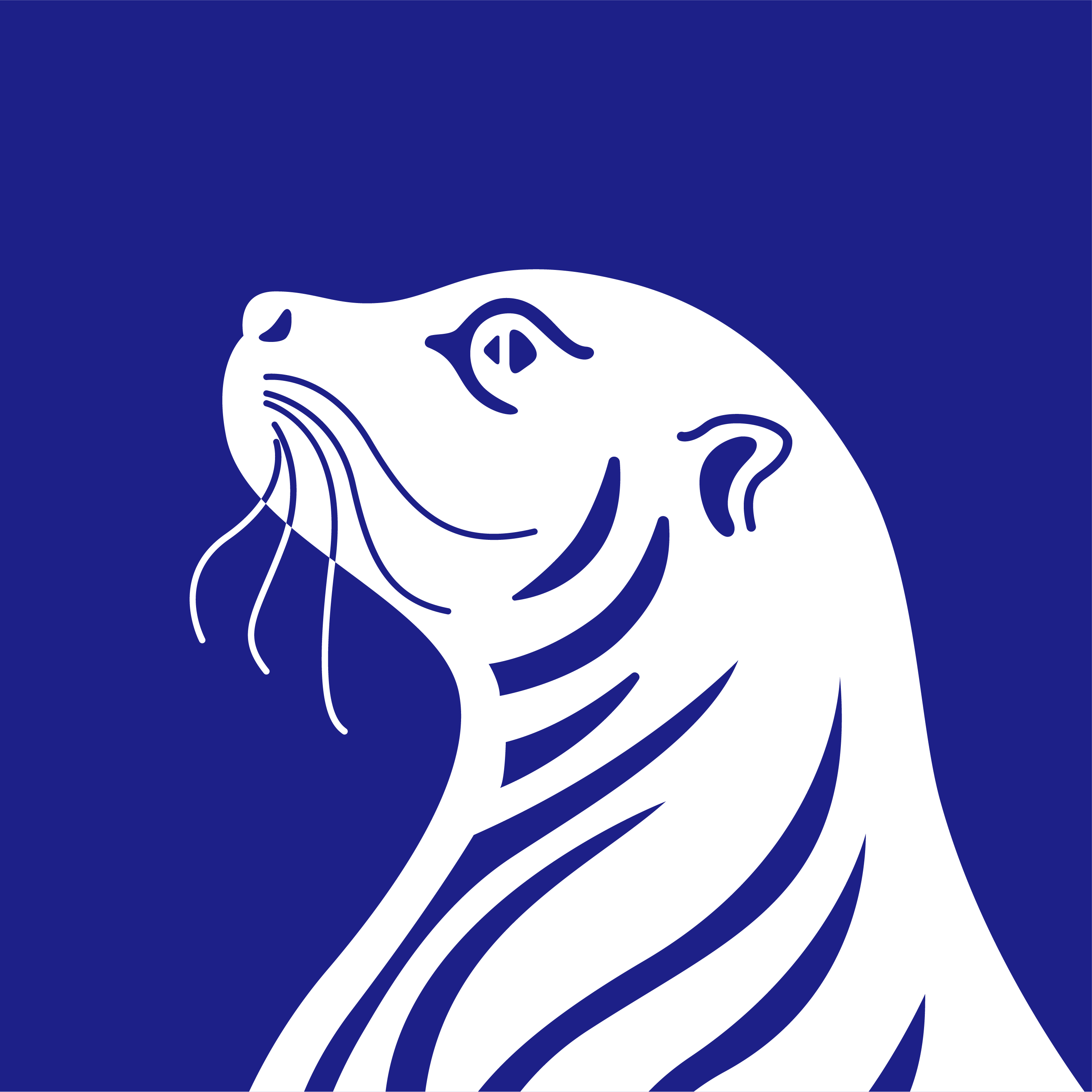 深圳市藍(lán)海獅智造有限公司