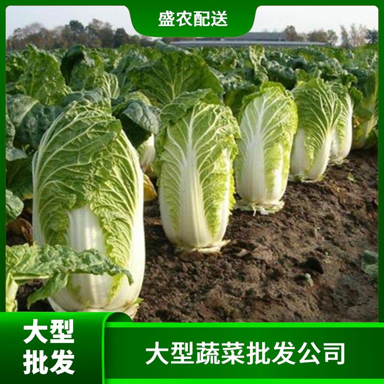 龙溪饭堂食材配送服务公司 配送蔬菜服务公司 大型批发市场提供平价送菜服务