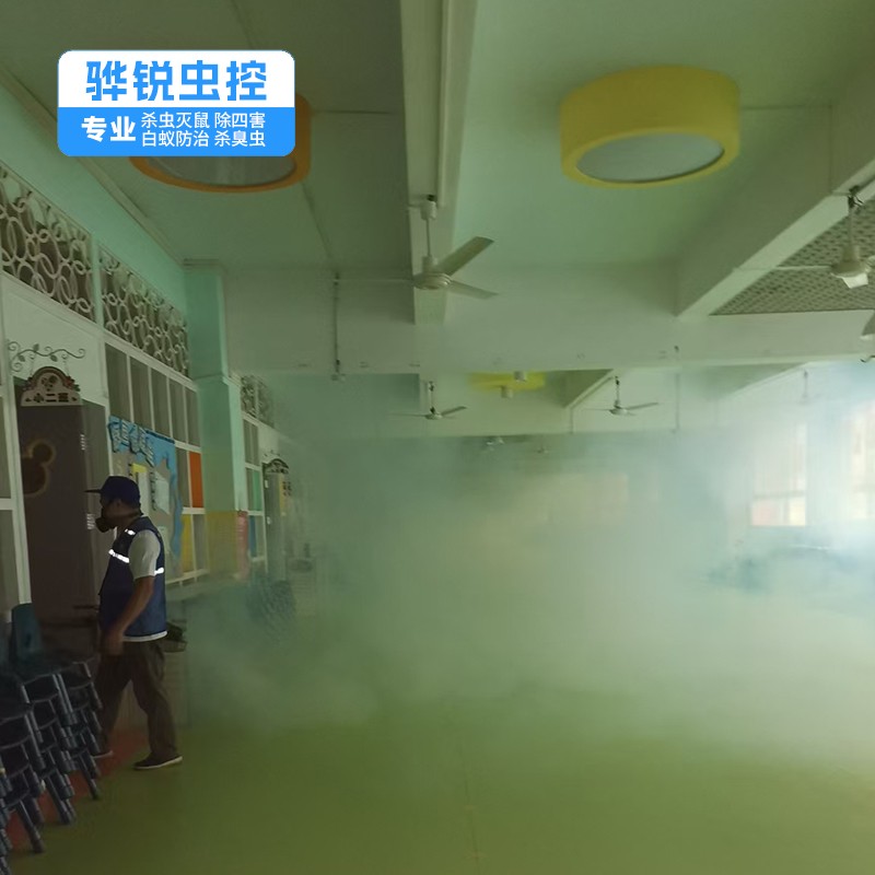 深圳除四害 除老鼠 提供方案